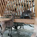 Ronalds Apartmán Sankt Leonhard im Pitztal