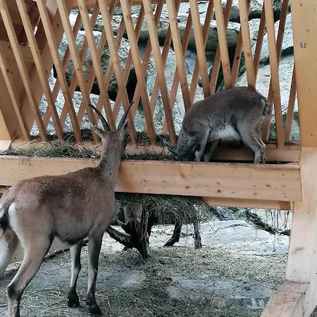 Ronalds Lägenhet Sankt Leonhard im Pitztal