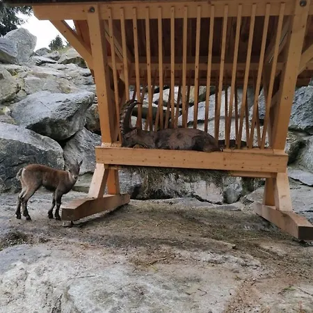 Ronalds Sankt Leonhard im Pitztal